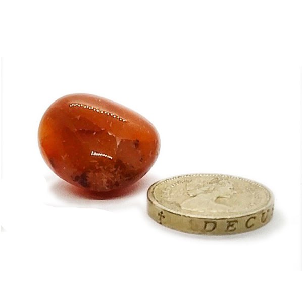 Carnelian Polished Tumblestone Healing Crystal