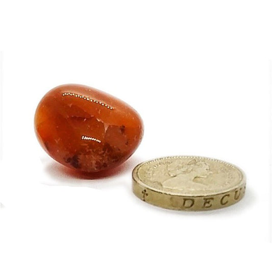 Carnelian Polished Tumblestone Healing Crystal