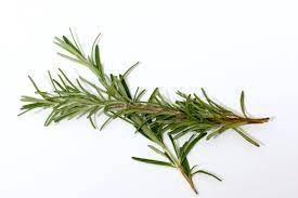 100% Pure Rosemary Essential Oil 10ml