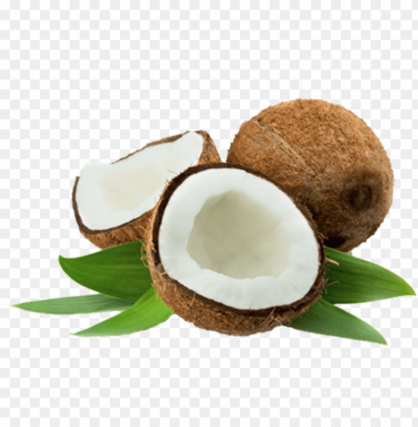Fractionated Coconut Base Oil 50ml