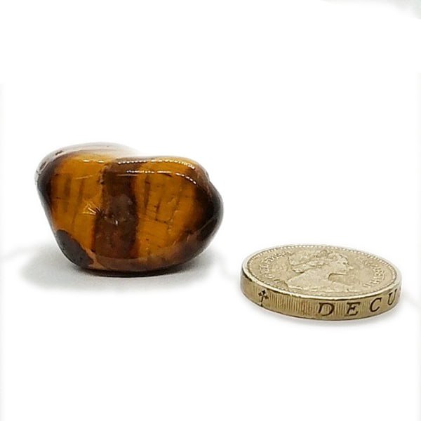 Gold Tiger Eye Polished Tumblestone Healing Crystal